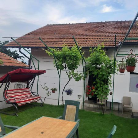 Vila Mir Пирот Екстериор снимка