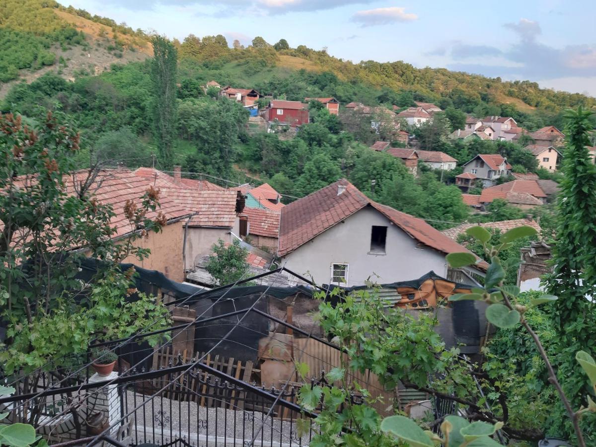 Vila Mir Пирот Екстериор снимка