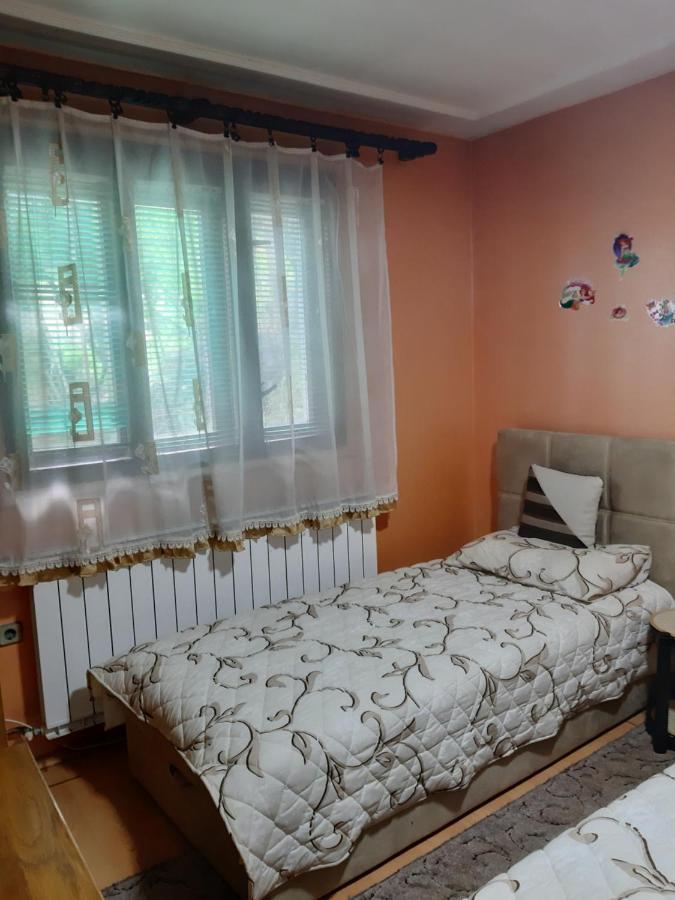 Vila Mir Пирот Екстериор снимка