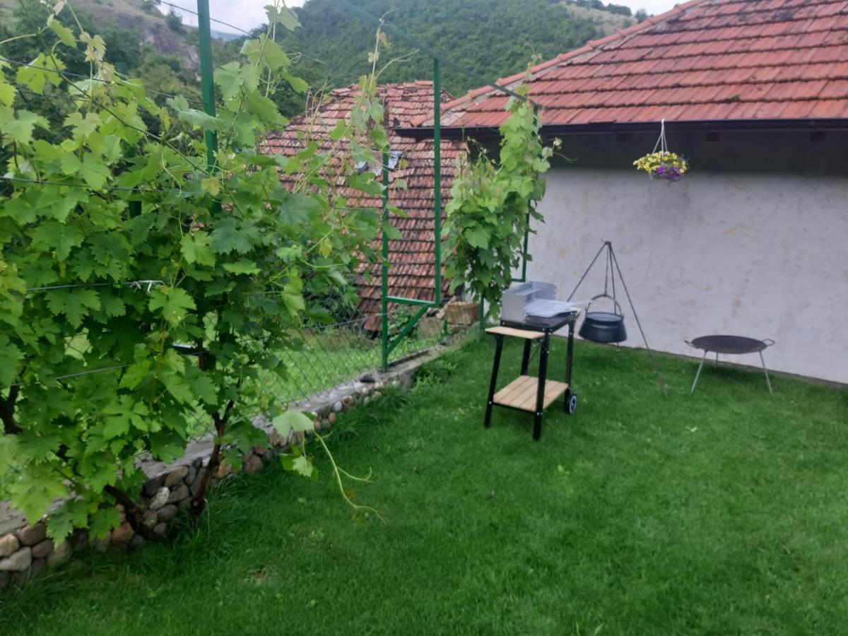 Vila Mir Пирот Екстериор снимка
