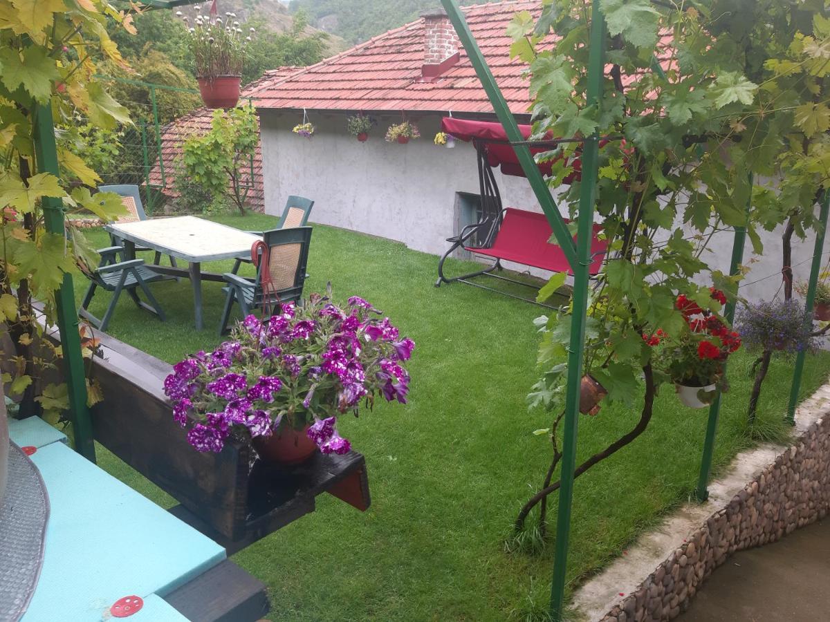 Vila Mir Пирот Екстериор снимка