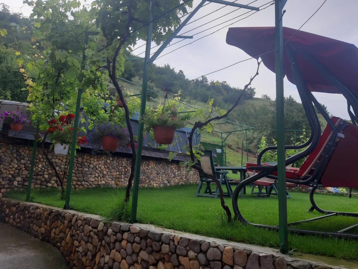 Vila Mir Пирот Екстериор снимка