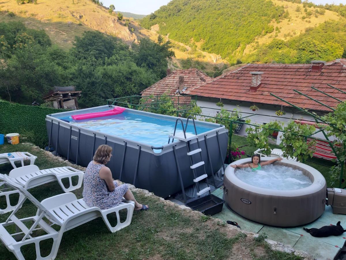 Vila Mir Пирот Екстериор снимка